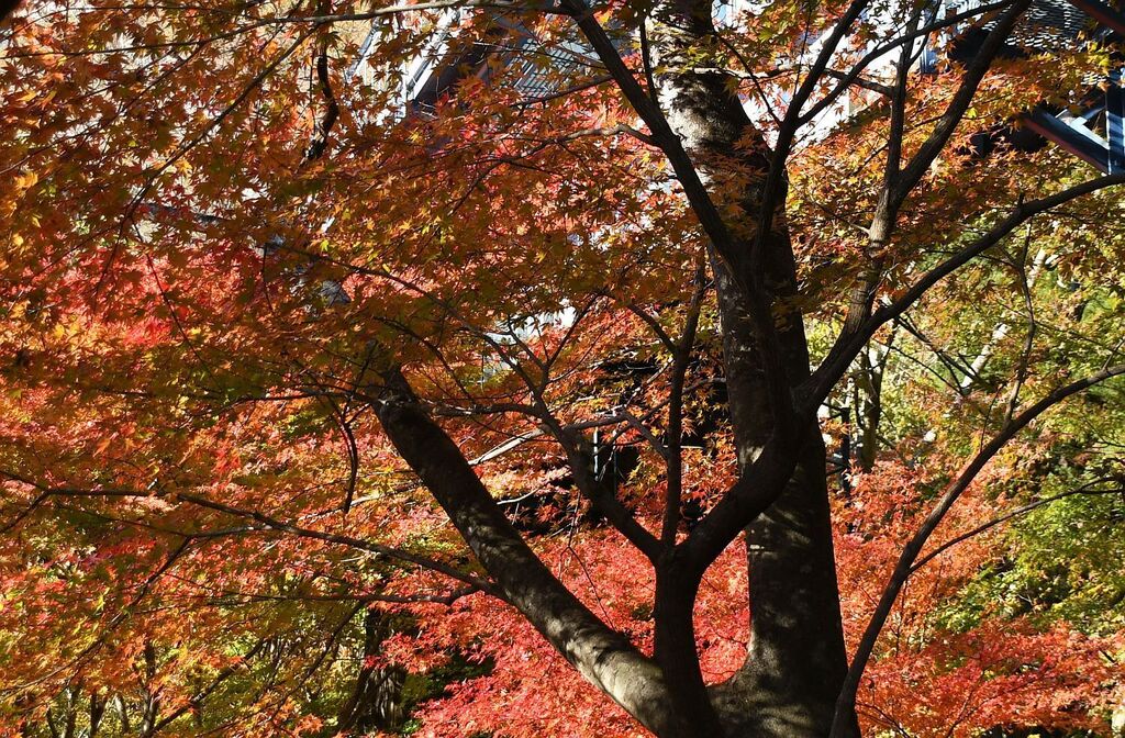1122_kouyo004.jpg