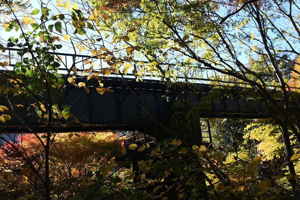 1122_kouyo005.jpg