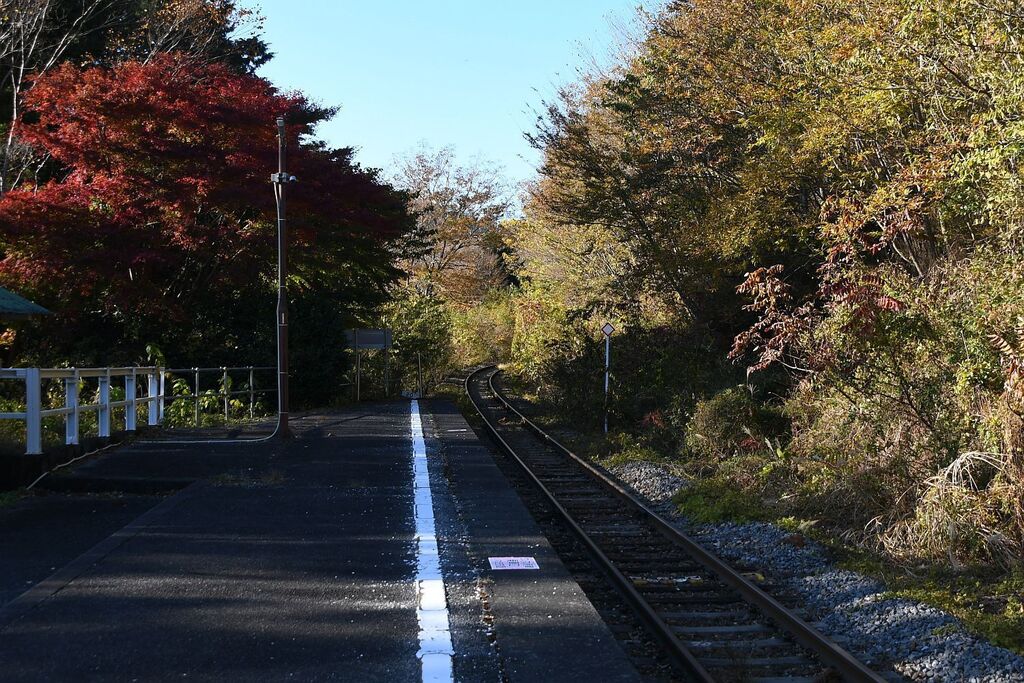 1122_kouyo007.jpg