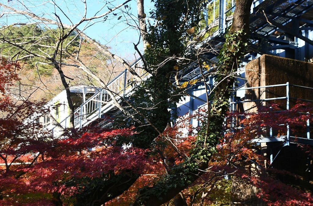 1122_kouyo010.jpg